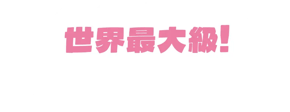 世界最大級！ 様々なうさぎ達がお出迎え！