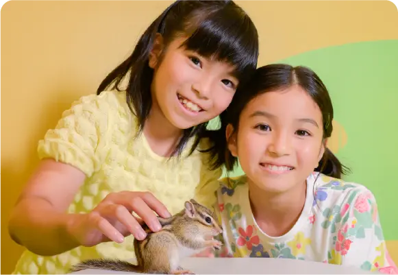 リスたちが暮らす新エリアオープン